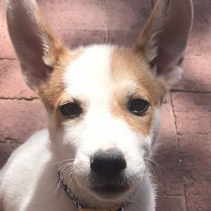 Meet your Posher, Jacob